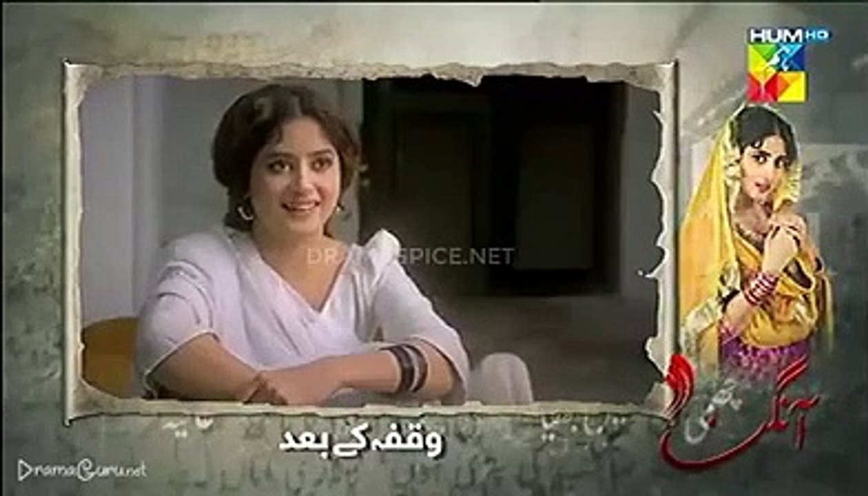 Aangan Episode 17 | HUM TV Drama