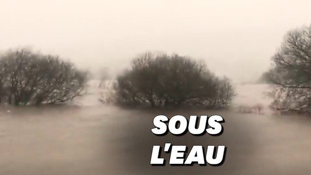 Avant d'arriver en France, la tempête Ciara n'a épargné que le sommet des arbres du Yorkshire