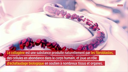 Des textiles humains pour réparer des vaisseaux sanguins