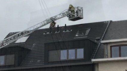 La tempête Ciara provoque d’importants dégâts aux quatre coins de la Belgique