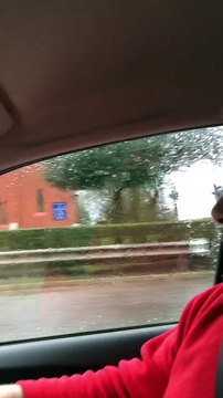 Tree falls onto car in Standish, Wigan