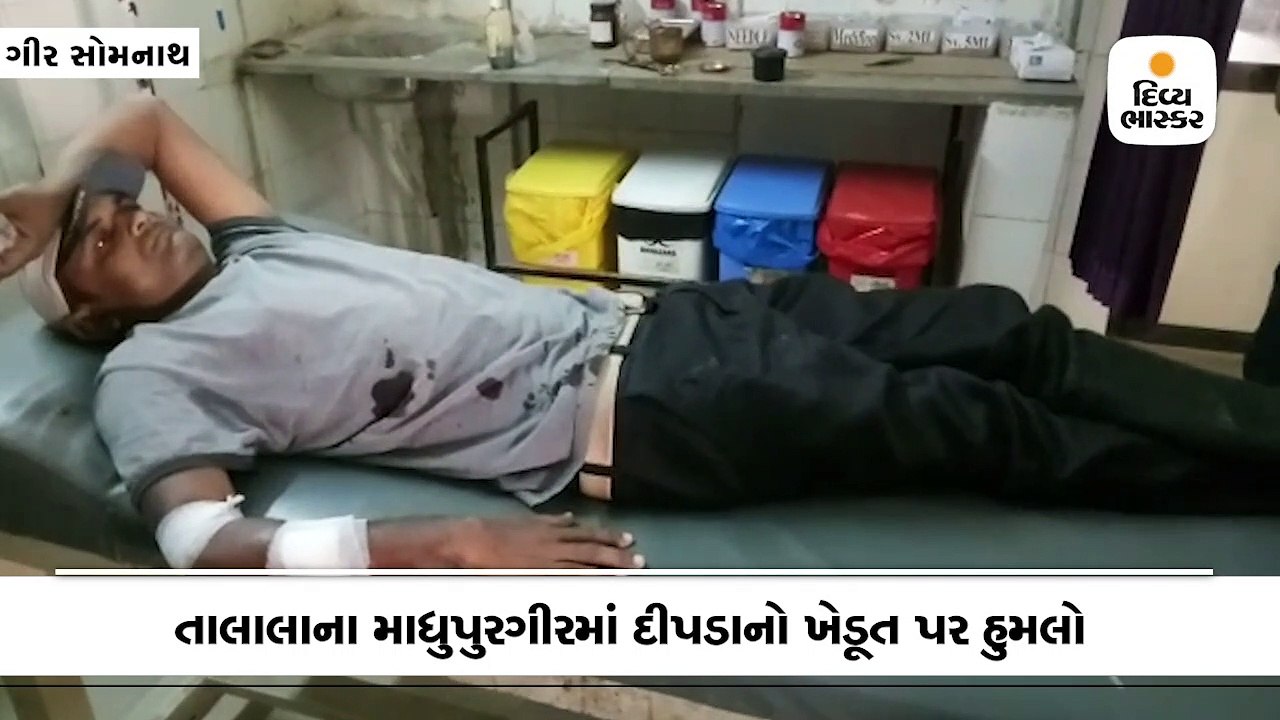 માધુપુરગીરમાં ખેડૂત પર દીપડાએ હુમલો કર્યો, હાથમાં નહોર ભરાવતા લોહીલૂહાણ