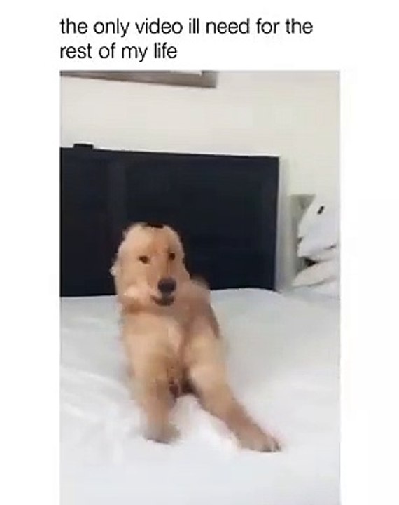 The only video will need for the rest of my life