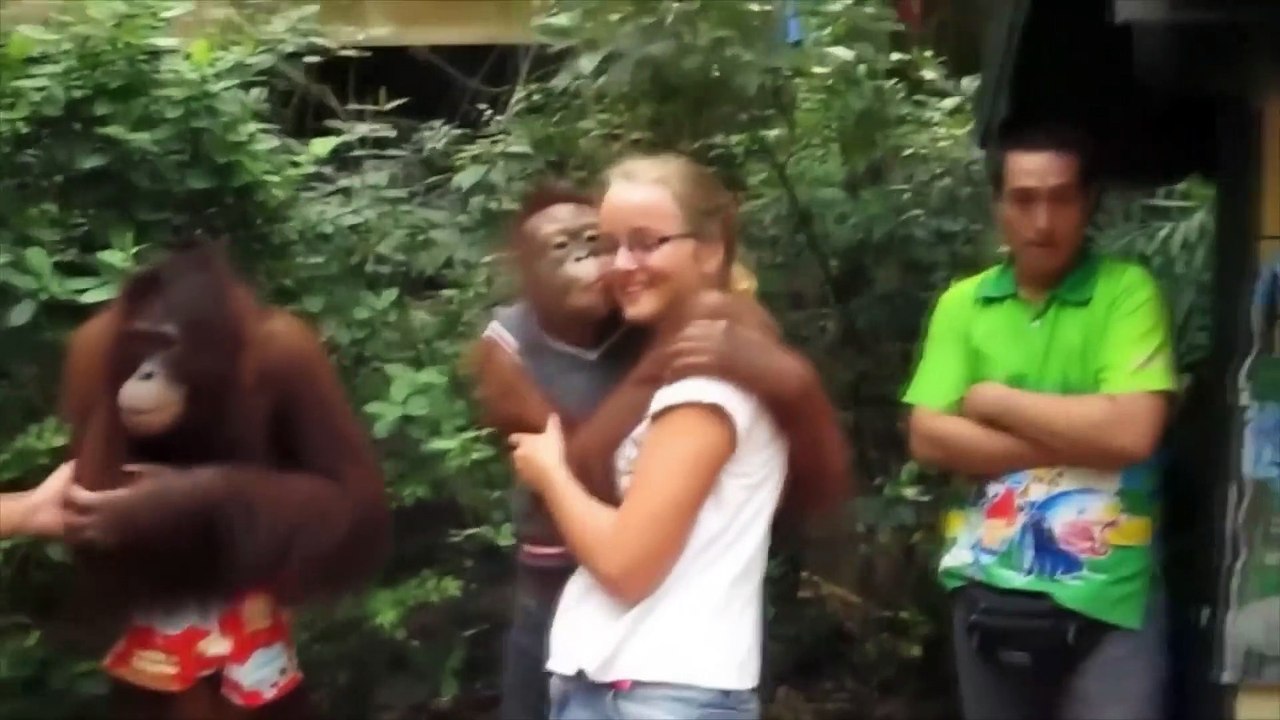 001 Komik Hayvan Videoları  Funniest  Dogs and  Cats Awesome Funny Pet Animals Comedy Videos 