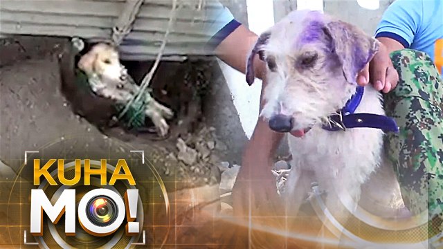 Inilibing ng Buhay | Kuha Mo!