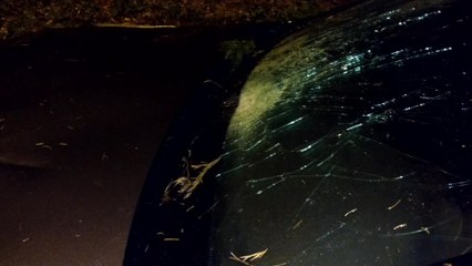 Jurbise/ Ghlin Grosse perurbation..Des arbres sur la route d'Ath et sur des voitures. Vidéo Eric Ghislain