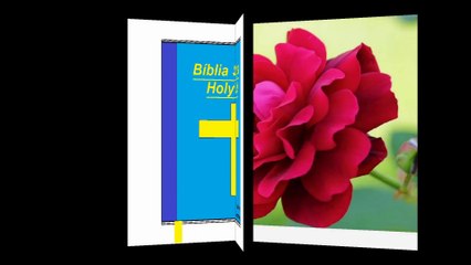 Deus não é uma rosa, mas pode deixar na sua vida uma cheirosa fragrância [Frases e Poemas]