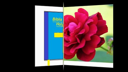 God is not a rose, but can leave in your life a fragrant fragrance [Quotes and Poems]