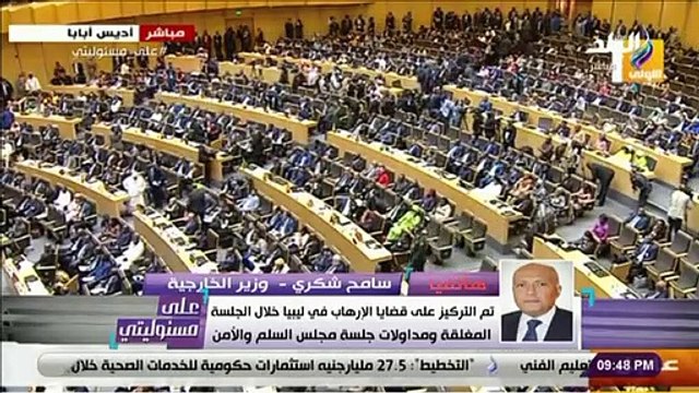 سامح شكرى كثير من الدول استهجنت تدخل تركيا في الشأن الليبى