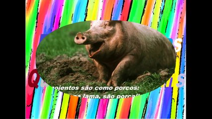 Amigos nojentos são como porcos: Vivem na lama, são porcalhões! [Frases e Poemas]