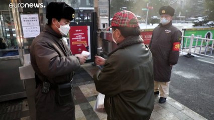 Pequim uma cidade entregue aos passarinhos