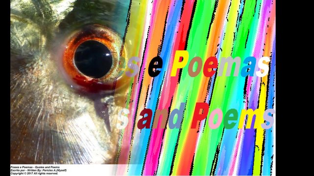 Fake women are like piranhas: They are dangerous and will eat your money! [Quotes and Poems]