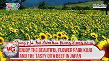 Enjoy the beautiful flower park Kuju and the tasty Oita beef in Japan