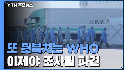 또 뒷북치는 WHO...이제야 중국에 조사팀 파견 / YTN