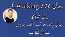 The Benefits of Walking[Daily Walking ke fayde] walking Beneifts. Weight Loss trick. By M younas in 
