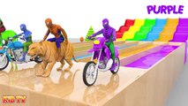 Learn Colors with Spiderman Rides Street Vehicles and Animals Crossover Water Slide for Kids