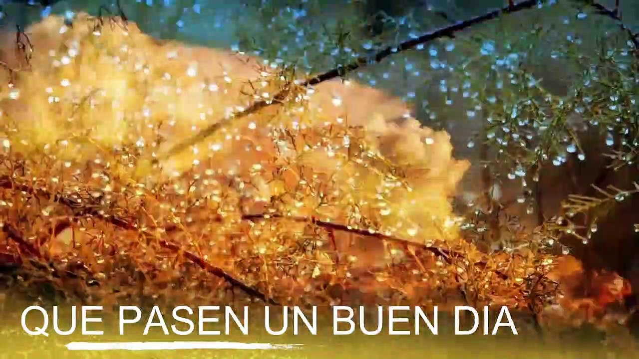 Conoce El Tiempo de Hoy Lunes 10 de Febrero de 2020