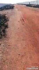 Sadak ka hal - middle of nowhere in India