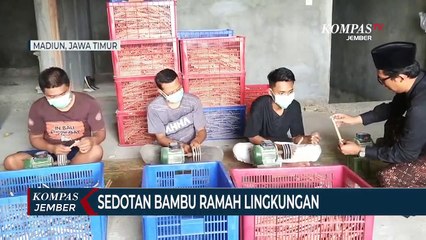 Sedotan Bambu Ramah Lingkungan