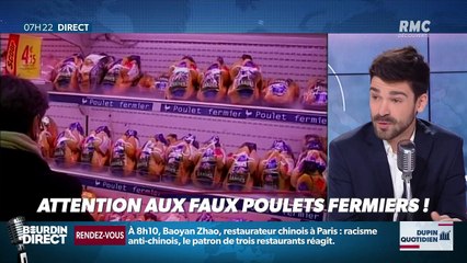 Dupin Quotidien : Attention aux faux poulets fermiers ! - 10/02