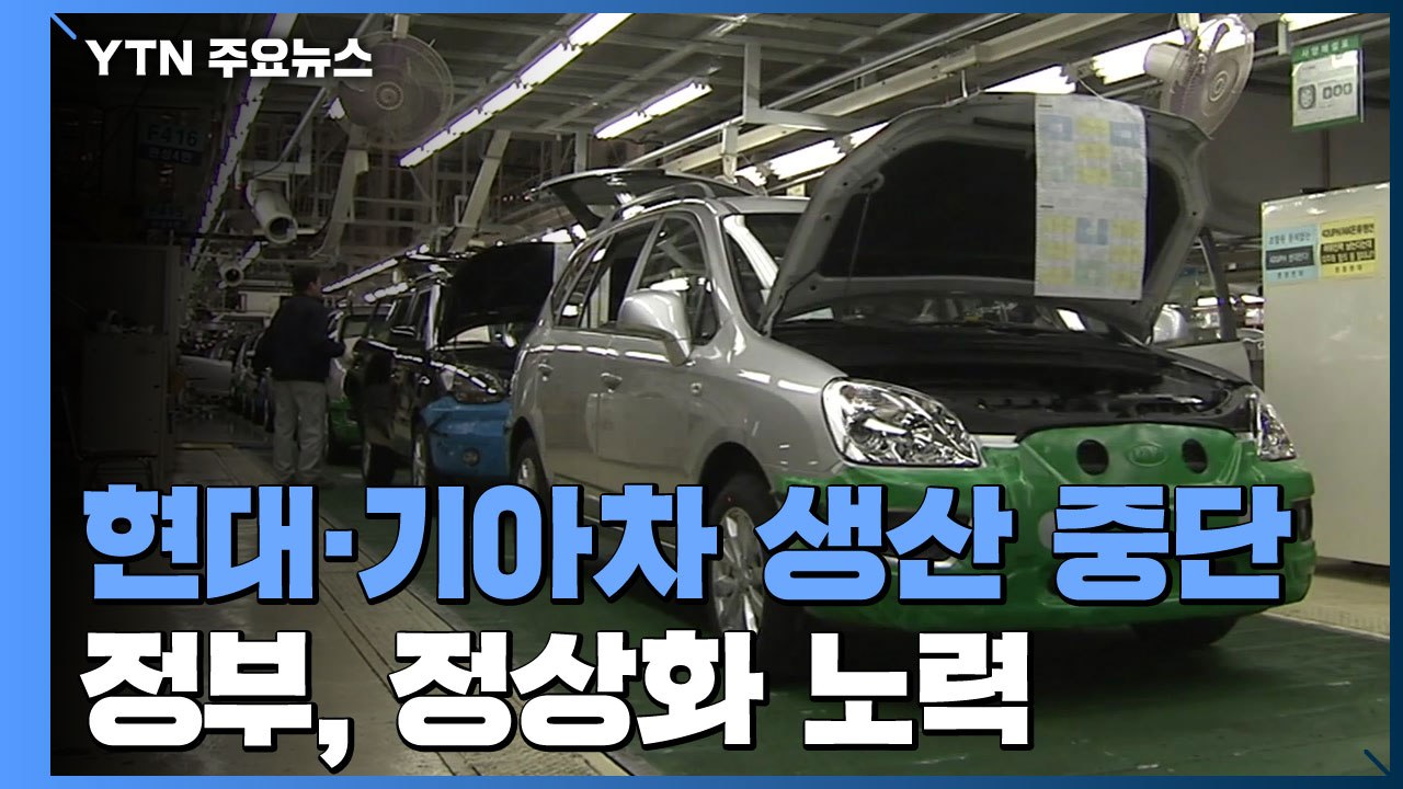 현대·기아차 생산 중단...정부, 中 공장 정상화 총력 / YTN