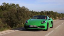 Porsche 718 Boxster GTS 4.0 in Phyton Green Driving Video