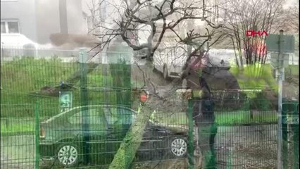 Sabine kasırgası, kuzey ve orta avrupa'yı etkisi altına aldı