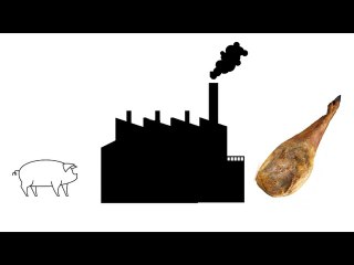 Sasel y la industria porcina