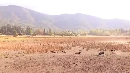 Chile drought enters critical phase