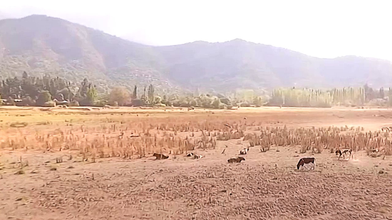 Chile drought enters critical phase