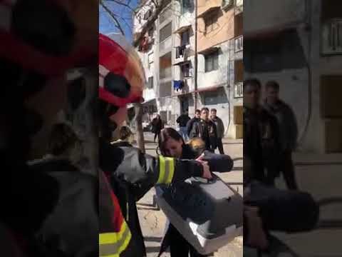 Report TV -Zjarrfikëset rrezikojnë jetën e tyre për të shpëtuar macen që kishte 4 ditë mbi pemë