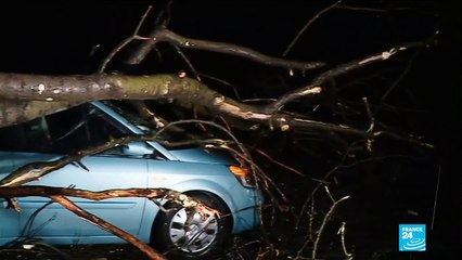 Tempête Ciara, cause de nombreux accidents dans tout le nord de l'Europe