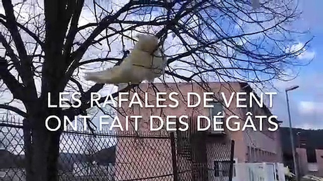 Tempête Ciara : des images du toit arraché de l’école Baldensperger