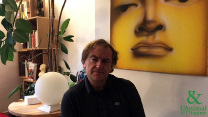 Interview 7 de Didier Van Cauwelaert : La bienveillance des dauphins