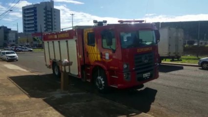 Bombeiros realizam corte de árvore no Parque São Paulo