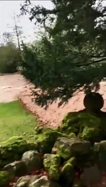 VIDEO: Storm Ciara hits Fountains Abbey and Studley Royal World Heritage Site