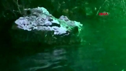 Tunceli'de su samurunun kar keyfi