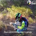 Este cachorrito estaba perdido en el desierto y unos amigos nuevos fueron a t...