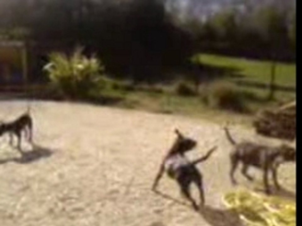 Rafraichissement aprés le sport