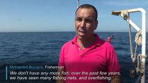 Aquaculture offers lifeline to floundering Moroccan fishermen