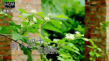 莊振凱-男人四十