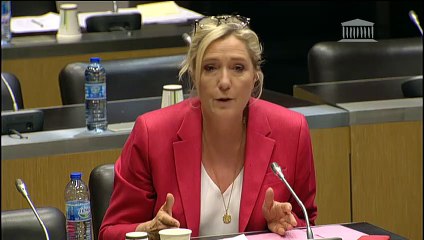 Commission d'enquête sur l'attaque de la préfecture de police de Paris : M. Didier Lallement, préfet de police - Mercredi 30 octobre 2019