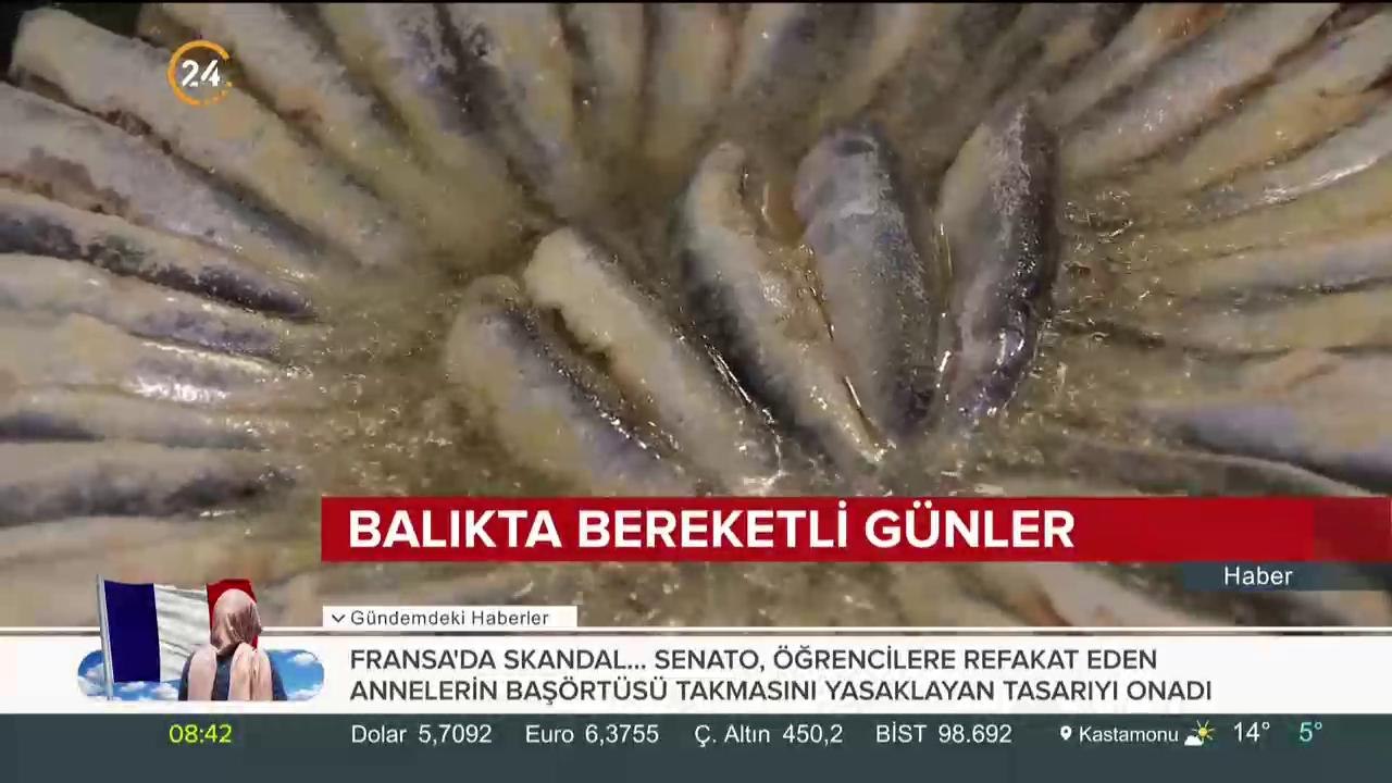 Balıkta bereketli günler... Fiyatlar neredeyse yarı yarıya indi