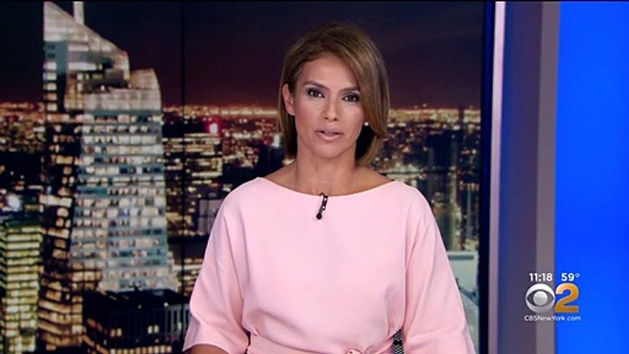 Un chien survit après avoir été heurté par une voiture et être resté coincé dans le pare-chocs