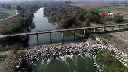 Bursa'da çevre felaketi...Yüzlerce balık ölü bulundu