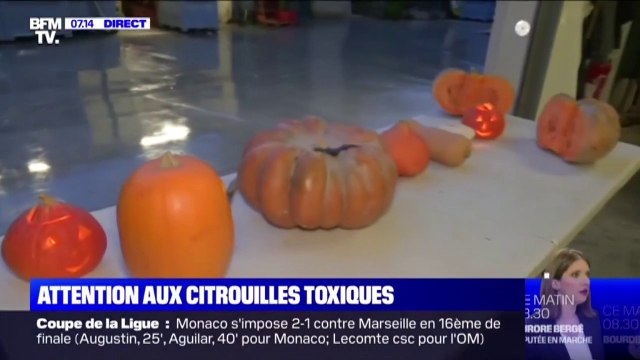 Halloween: quelles courges ne sont pas comestibles?