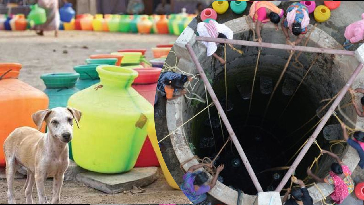 Water Crisis : இனி ஒரு சொட்டு நீருக்காக அலைய போறீங்க.. அமைச்சர் எச்சரிக்கை!-வீடியோ