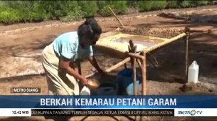 Kemarau Panjang Beri Berkah Bagi Petani Garam di Flores