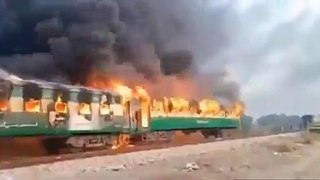पाकिस्तान: कराची-रावलपिंडी तेजगाम एक्सप्रेस में लगी आग, 65 लोगों की मौत, कई लोग घायल #Pakistan