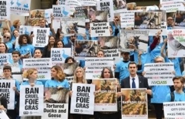 New York interdit de foie gras à partir de 2022